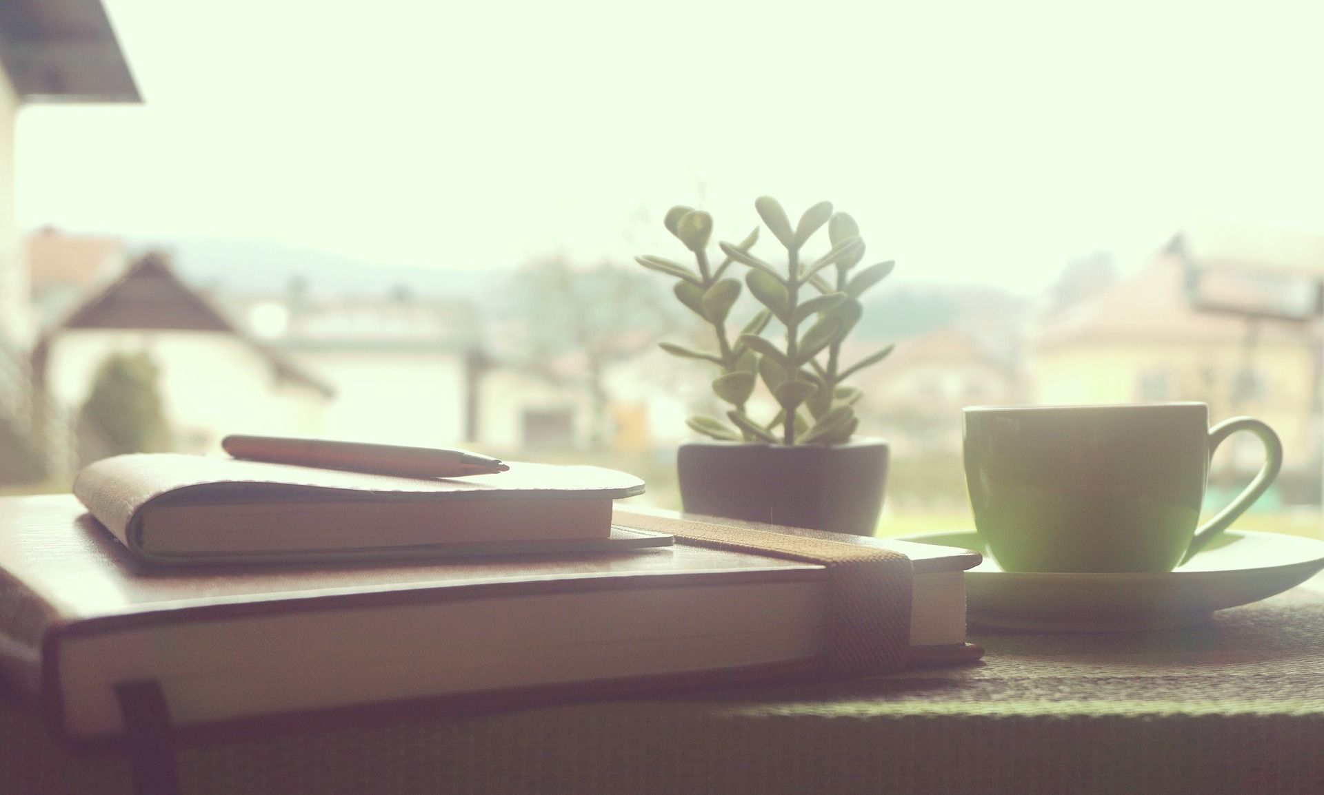 Cuadernos con bolígrafo y una pequeña planta junto a una taza sobre un platillo, luz suave de ventana